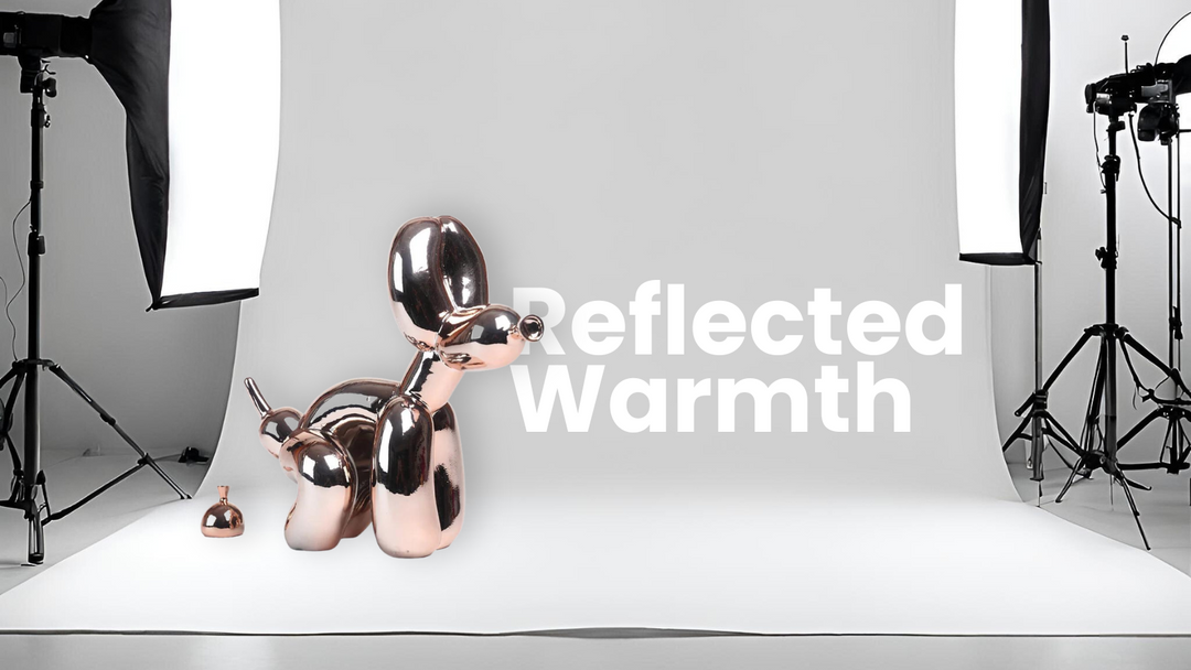 Chrom Rose Skulptur im Fotostudio als Inbegriff des 'Reflected Warmth' Interior Design Stils